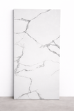 Len Statuaro Gray